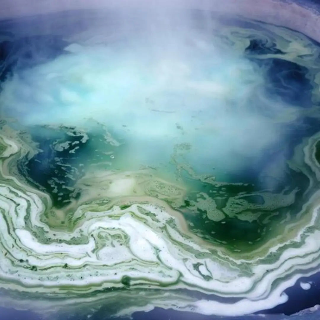 hot tub biofilm