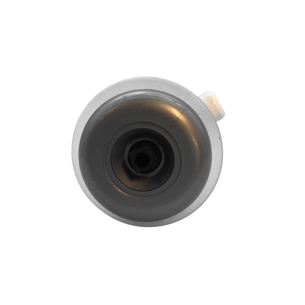 Celebrity Valve