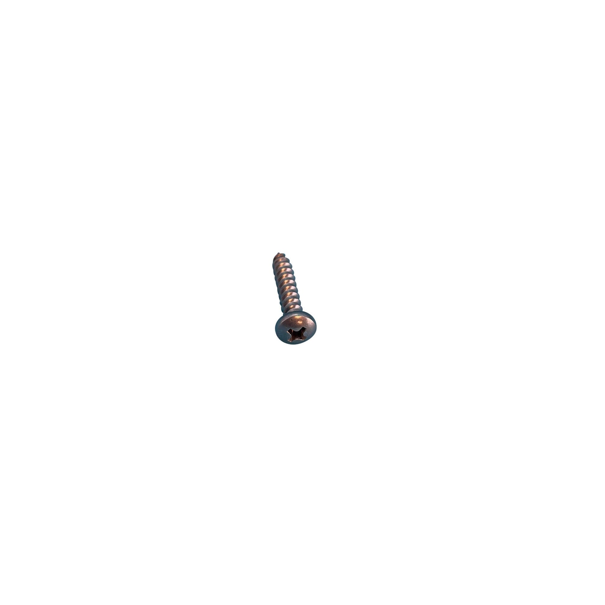 Screw: 10 - 12 x 1" Type A – Jacuzzi General Purpose Hardware - Hot Tub Store