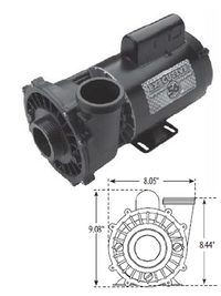 Thumbnail for Waterway Executive 56 Frame 2-Speed Pumps - Hot Tub Store