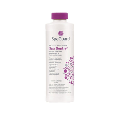 SpaGuard® Spa Sentry